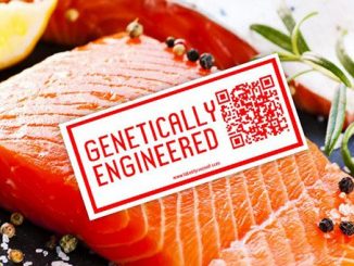 FDA launch pro GMO propaganda campaign