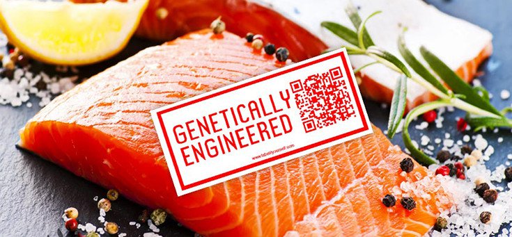 FDA launch pro GMO propaganda campaign