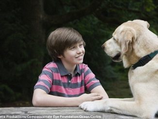 Dogs can talk to humans, new study finds