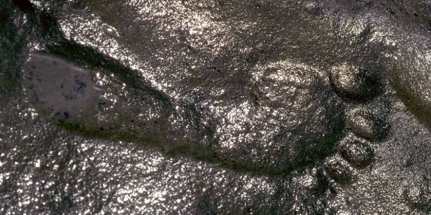 Giant human footprint thought to be 290 million years old baffles scientists
