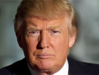 President Trump announced Wednesday that he will push through new laws banning immigrants from claiming welfare for five years amid wholesale changes to America's immigration system.