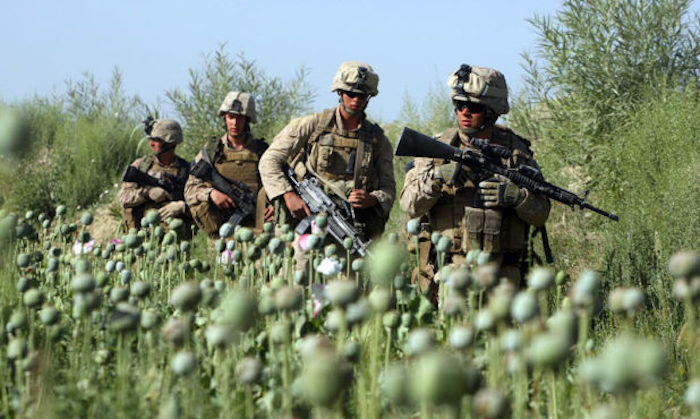 US Nato invasion of Afghanistan results in soaring opium production