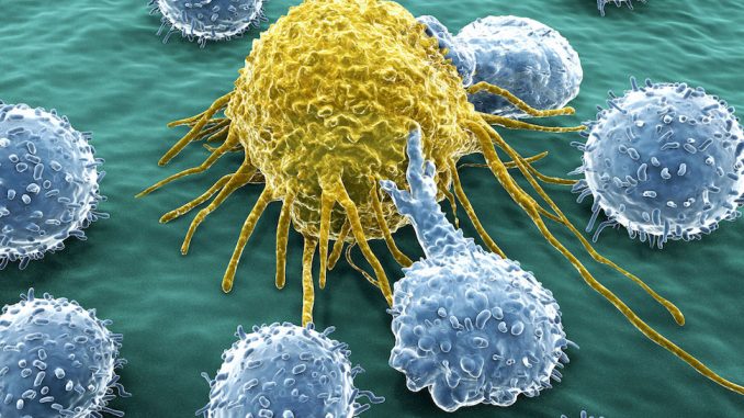 Scientists create artificial virus that kickstarts immune system and fights cancer cells