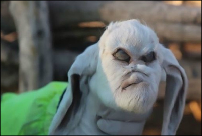 Demonic goat terrifies Argentinian residents