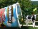 90% of Ben & Jerry's ice cream flavors test positive for Monsanto's glyphosphate, according to a shocking new study.