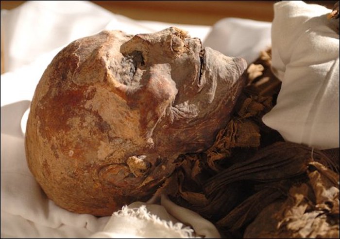 Ancient Egyptians visited the Americas as early as 1,000 BC and traded with locals for tobacco and cocaine, a new find suggests.