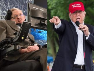Professor Stephen Hawking has warned that Donald Trump's presidential legacy will include the complete and utter destruction of the human race.