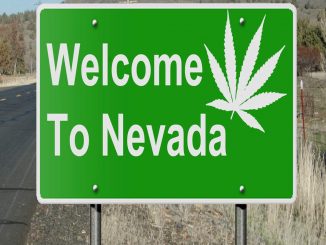 Nevada becomes the fifth state to legalize marijuana for recreational use
