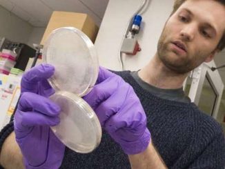 Scientists build DNA from scratch
