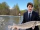 Canada becomes first country in the world to sell GMO salmon to the public