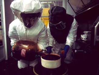 MIT researcher says Monsanto's Roundup herbicide will cause nearly half of all children to develop autism