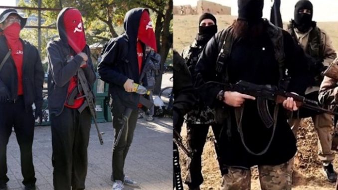 White House to consider labelling Antifa a terrorist organization