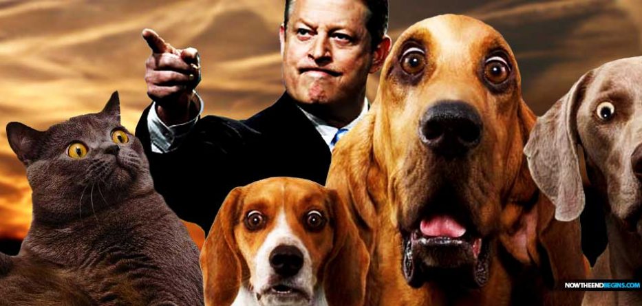 UCLA professors claims dogs and cats cause global warming