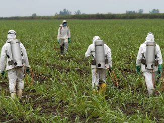 Monsanto attacks cancer organization who exposed dangers of Roundup