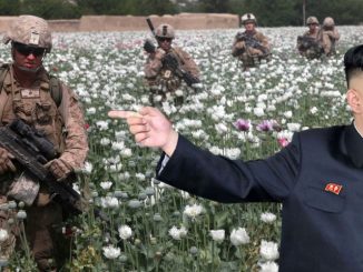 Kim Jong-un says the real reason for war in North Korea is to take control of the country's vast poppy fields