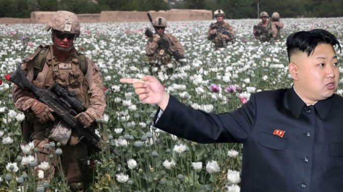 Kim Jong-un says the real reason for war in North Korea is to take control of the country's vast poppy fields