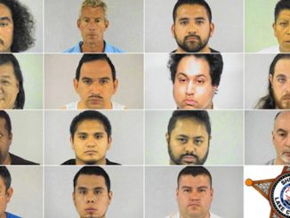 Over 1000 pedophiles arrested in major bust