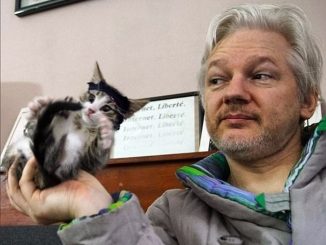 Julian Assange