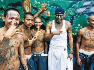 California to pay murdering gang members $1000 to stop killing people