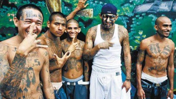 California to pay murdering gang members $1000 to stop killing people