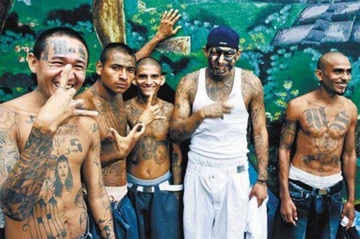 California to pay murdering gang members $1000 to stop killing people