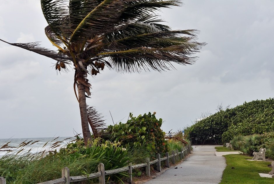 Miami mayor announces evacuation ahead of hurricane Irma