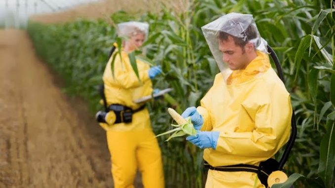Monsanto illegally used carcinogenic chemicals for 8 years, court documents reveal