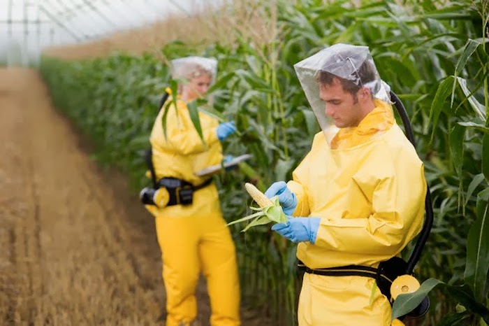 Monsanto illegally used carcinogenic chemicals for 8 years, court documents reveal
