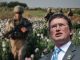 Brave Congressman reveals how CIA uses taxpayer money to fund Opium trade in Afghanistan