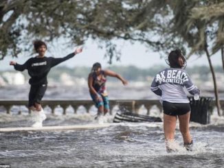 Hundreds of Floridians have been diagnosed with the "99% fatal" disease after using contaminated water, according to Florida doctors.