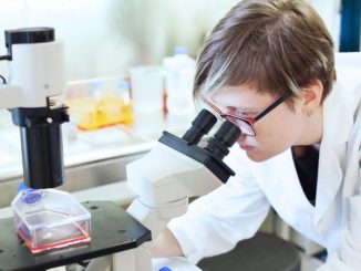 Naturally occuring molecule found to stop the spread of cancer