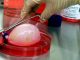 Gene engineering tool allows scientists to grow organs for transplants