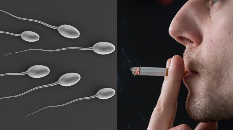 Canadian researchers say smoking marijuana makes men infertile
