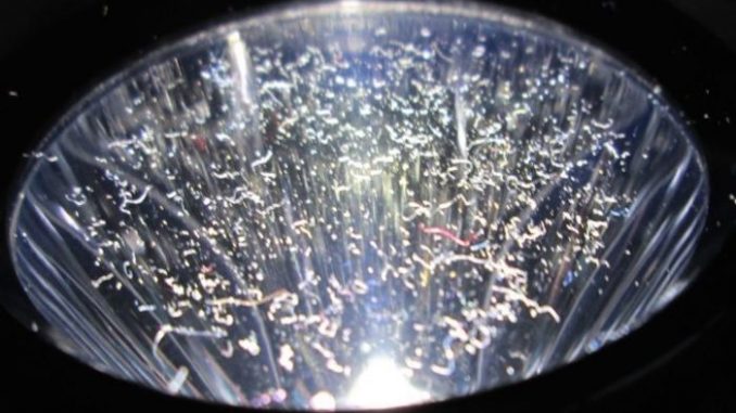 US west coast residents report seeing metallic fibers fall from the sky