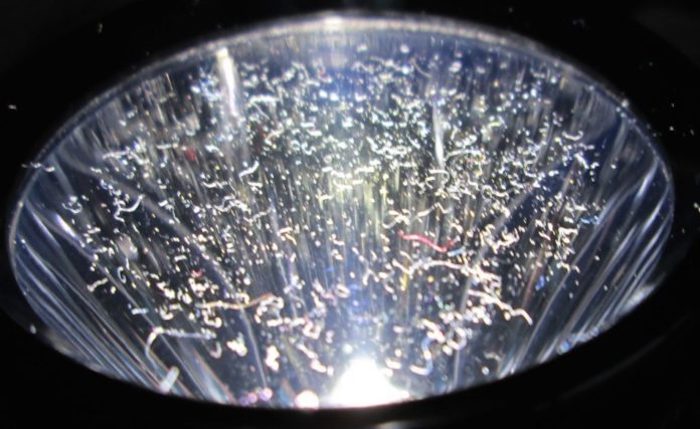 US west coast residents report seeing metallic fibers fall from the sky