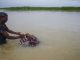 Media ignore South Asia floods that kill 2000 people