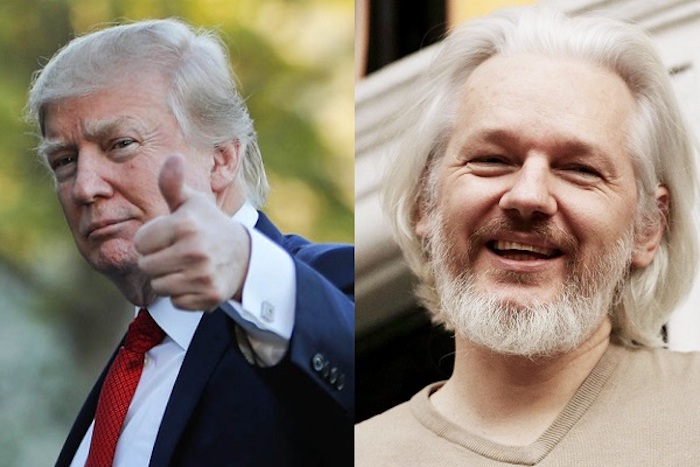 Trump considers pardoning Julian Assange