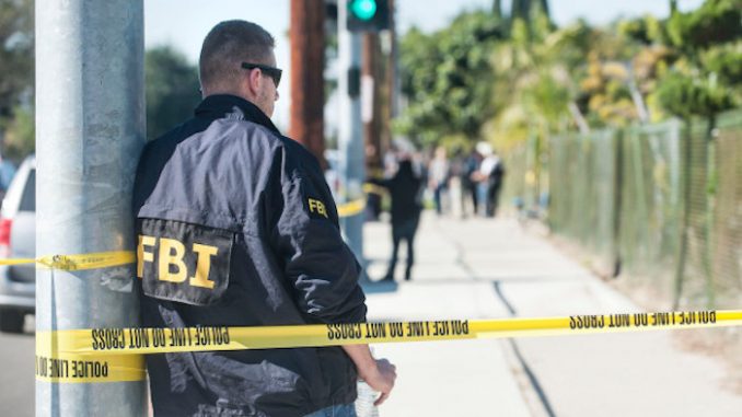 Julian Assange says all terror attacks in US are orchestrated by the FBI