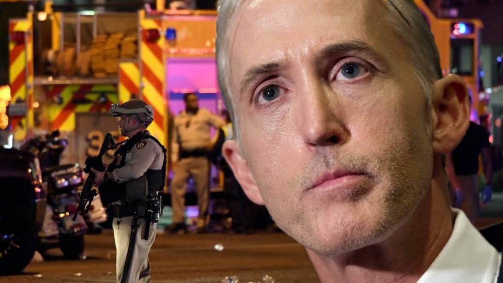 Trey Gowdy has questioned the "lone wolf" narrative being pushed by mainstream media, saying it is "difficult to believe."