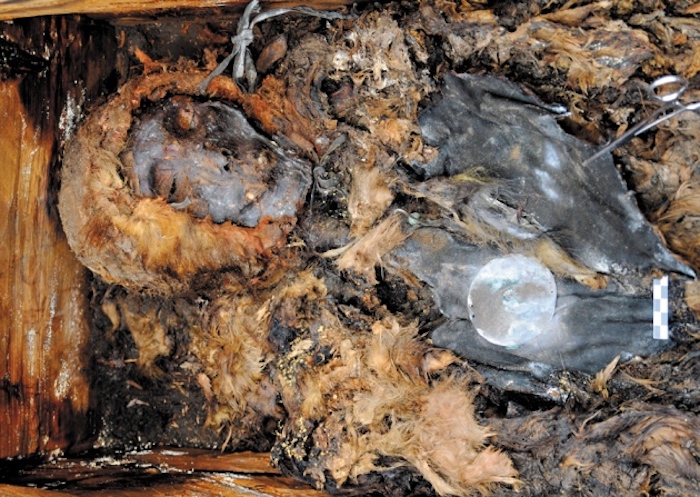 Smallpox could make a return, scientists warn