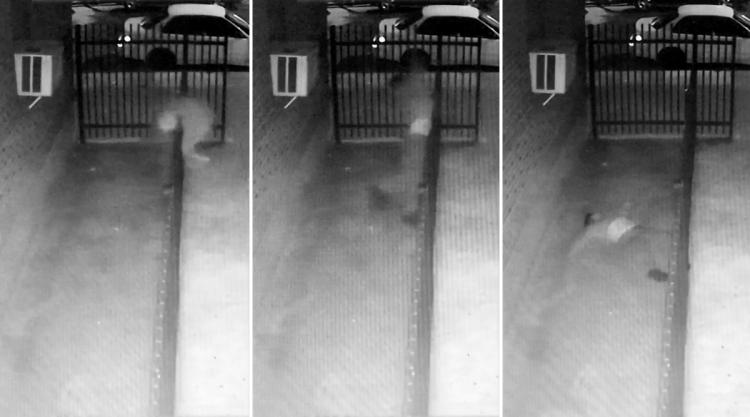 A pedophile who molested two children at a birthday party died after falling from a window while trying to escape angry parents.