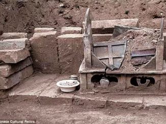 Remains of Buddha found in China