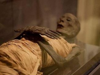 New DNA study finds that ancient Egyptians are closely related to Europeans