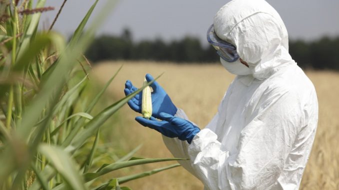 Monsanto quietly renames GMO ingredients on food labels