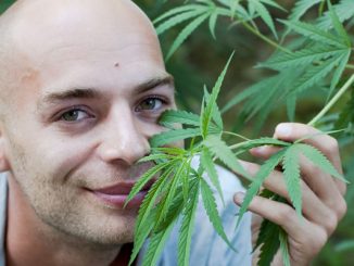 US government study finds that smoking cannabis stops HIV from developing into AIDS