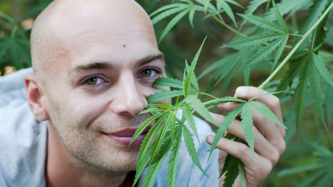 US government study finds that smoking cannabis stops HIV from developing into AIDS