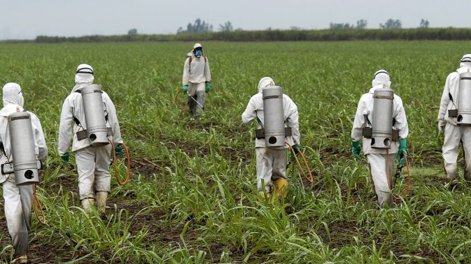 Monsanto Roundup weedkiller found to destroy Microbiome in humans and soil