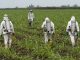 Monsanto Roundup weedkiller found to destroy Microbiome in humans and soil