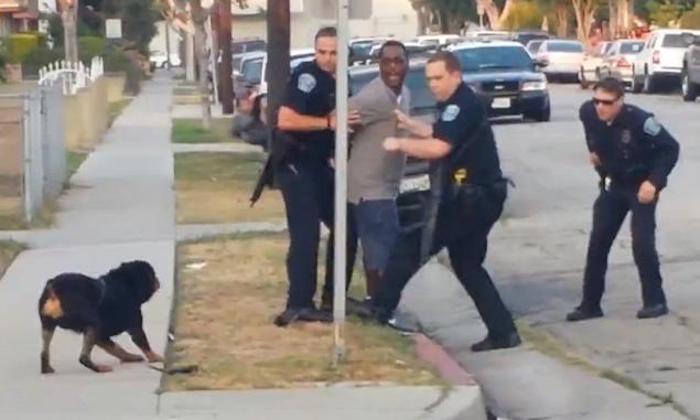 Court rules cops can legally shoot your dog if it barks