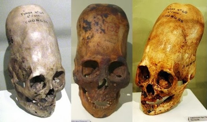 A team of scientists in Germany have discovered that modern humans share DNA believed to belong to an alien race known as the Anunnaki. 